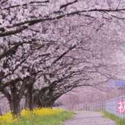 ヒメ日記 2026/04/01 16:51 投稿 初音 ROYAL　GRACE