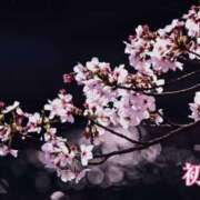 ヒメ日記 2026/04/04 20:49 投稿 初音 ROYAL　GRACE