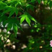 ヒメ日記 2026/06/03 16:34 投稿 初音 ROYAL　GRACE