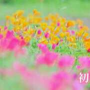ヒメ日記 2026/07/01 19:05 投稿 初音 ROYAL　GRACE