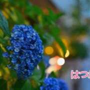 ヒメ日記 2026/07/09 12:05 投稿 初音 ROYAL　GRACE