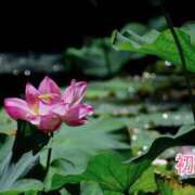 ヒメ日記 2026/08/12 17:50 投稿 初音 ROYAL　GRACE