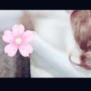 ヒメ日記 2025/07/11 01:15 投稿 あいり 熟女家 東大阪店（布施・長田）