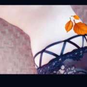 ヒメ日記 2025/11/14 01:55 投稿 あいり 熟女家 東大阪店（布施・長田）