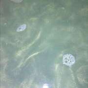 ヒメ日記 2025/05/12 05:46 投稿 くれあ マリン宇都宮店