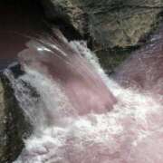 ヒメ日記 2025/07/12 01:36 投稿 くれあ マリン宇都宮店