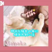 ヒメ日記 2025/05/22 01:45 投稿 まなか Salon du M-えっちなお姉さんのM性感デリバリー-五反田店