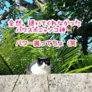 ヒメ日記 2025/09/13 05:28 投稿 まなか Salon du M-えっちなお姉さんのM性感デリバリー-五反田店