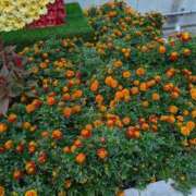 ヒメ日記 2025/10/21 16:41 投稿 さくら スピードエコ京橋店