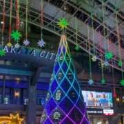 ヒメ日記 2025/11/10 14:01 投稿 さくら スピードエコ京橋店