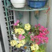 ヒメ日記 2025/03/06 11:00 投稿 まひろ 佐久上田人妻隊