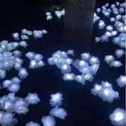 ヒメ日記 2025/04/23 10:30 投稿 まひろ 佐久上田人妻隊