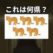 ヒメ日記 2025/12/19 21:00 投稿 まひろ 佐久上田人妻隊
