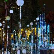 まひろ 🌸ホント お久しぶりのさいかい(⁠≧⁠▽⁠≦⁠) 佐久上田人妻隊