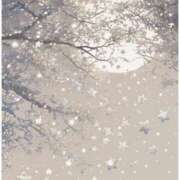 ヒメ日記 2026/02/13 22:47 投稿 まひろ 佐久上田人妻隊