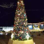 ヒメ日記 2024/12/10 12:47 投稿 小春-こはる MSC 妄想紳士倶楽部 鶯谷店