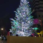 ヒメ日記 2024/12/20 16:34 投稿 小春-こはる MSC 妄想紳士倶楽部 鶯谷店