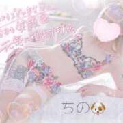 ヒメ日記 2025/09/18 06:38 投稿 ちの 静岡♂風俗の神様 静岡店