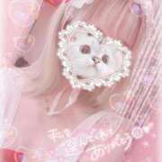 ヒメ日記 2025/11/04 15:29 投稿 ちの 静岡♂風俗の神様 静岡店