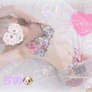 ヒメ日記 2025/11/08 04:28 投稿 ちの 静岡♂風俗の神様 静岡店