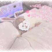 ヒメ日記 2025/11/14 10:48 投稿 ちの 静岡♂風俗の神様 静岡店