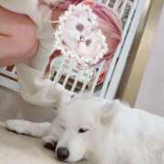 ヒメ日記 2025/12/23 23:38 投稿 ちの 静岡♂風俗の神様 静岡店