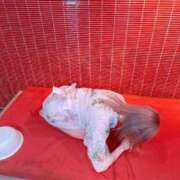 ヒメ日記 2026/01/13 02:58 投稿 ちの 静岡♂風俗の神様 静岡店