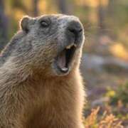 ヒメ日記 2025/01/14 15:17 投稿 かなめ Lesson.1 札幌校