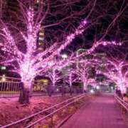 遥（ハルカ） ?12月の出勤日のお知らせ アバンチュール(五反田)