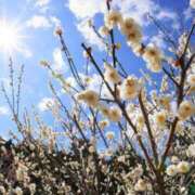 ヒメ日記 2026/03/21 14:01 投稿 遥（ハルカ） アバンチュール(五反田)