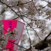 遥（ハルカ） 29日出勤しましたー? アバンチュール(五反田)