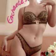 ヒメ日記 2025/09/09 13:13 投稿 蘭 池袋角海老