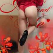 ヒメ日記 2025/11/11 13:03 投稿 蘭 池袋角海老