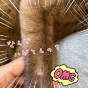 ヒメ日記 2025/02/08 09:17 投稿 芽伊(めい) 人妻城 横浜本店