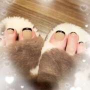 ヒメ日記 2025/02/21 09:23 投稿 芽伊(めい) 人妻城 横浜本店