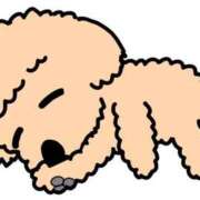 ヒメ日記 2025/03/03 08:39 投稿 芽伊(めい) 人妻城 横浜本店