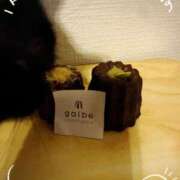 ヒメ日記 2025/03/17 09:00 投稿 芽伊(めい) 人妻城 横浜本店