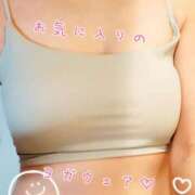 ヒメ日記 2025/10/04 12:31 投稿 芽伊(めい) 人妻城 横浜本店