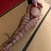 ヒメ日記 2025/02/04 19:20 投稿 ひまわり　ゆり お姉京都