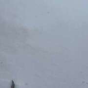 ヒメ日記 2025/02/06 17:15 投稿 ひまわり　ゆり お姉京都