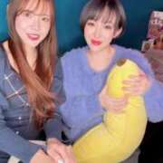 ヒメ日記 2025/02/18 16:17 投稿 ひまわり　ゆり お姉京都