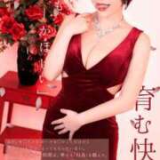 ヒメ日記 2025/03/02 15:03 投稿 ひまわり　ゆり お姉京都