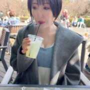 ヒメ日記 2025/04/09 12:00 投稿 ひまわり　ゆり お姉京都