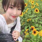 ヒメ日記 2025/05/08 05:31 投稿 ひまわり　ゆり お姉京都