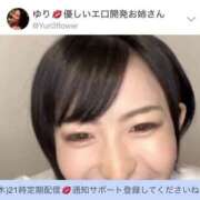 ヒメ日記 2025/06/07 15:03 投稿 ひまわり　ゆり お姉京都