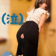 ヒメ日記 2025/06/12 11:59 投稿 ひまわり　ゆり お姉京都