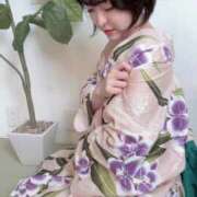 ヒメ日記 2025/07/25 07:02 投稿 ひまわり　ゆり お姉京都