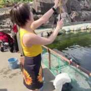 ヒメ日記 2025/09/04 07:02 投稿 ひまわり　ゆり お姉京都