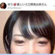 ヒメ日記 2025/09/26 15:04 投稿 ひまわり　ゆり お姉京都