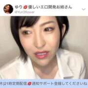 ヒメ日記 2025/10/23 05:22 投稿 ひまわり　ゆり お姉京都